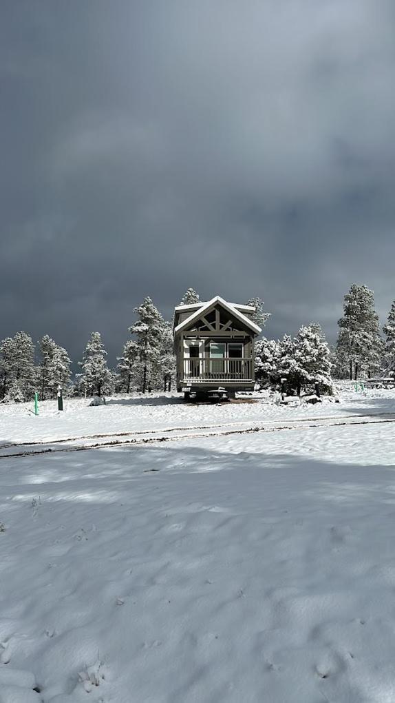 Cozy Cabin With Mountain View 6A Уилямс Екстериор снимка